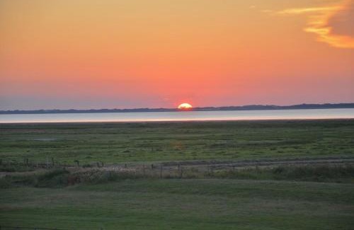 Hilgenriedersiel Apartment | Seemöwe am Naturstrand
