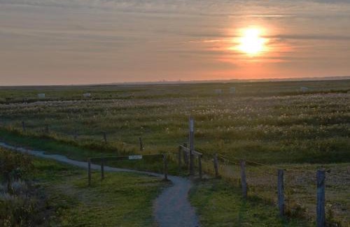 Hilgenriedersiel Apartment | Seemöwe am Naturstrand