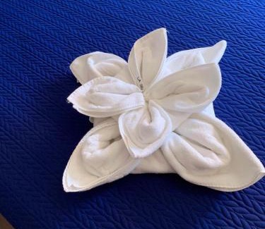 Pozo Izquierda Apartment | Seifía 2A