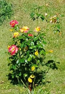 Baulne-en-Brie Bed & Breakfast | Seigneurie de Baulne