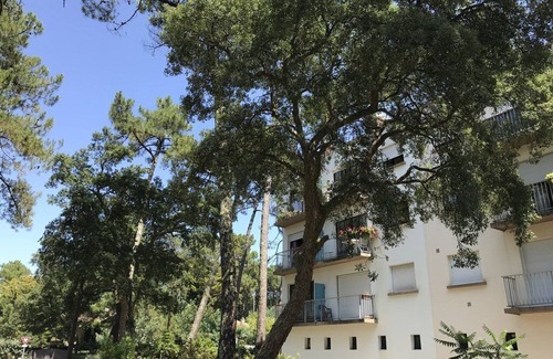 Les Estagnots Apartment | SEIGNOSSE- Residence ORION- Flat for 2/3 people- Free Wifi.