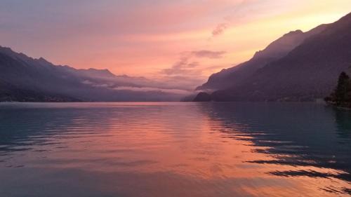 Boenigen Hotel | Seiler au Lac