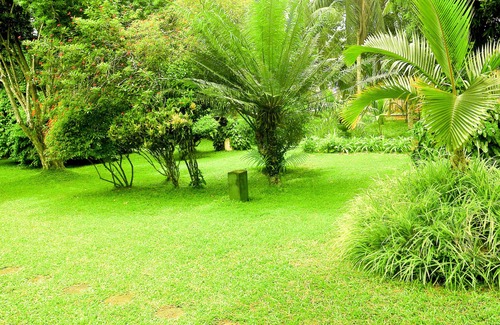 Bandaragama House | Seilka bungalow-find serenity and relaxation