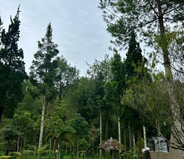 Karanganyar Villa | Sejuk Village