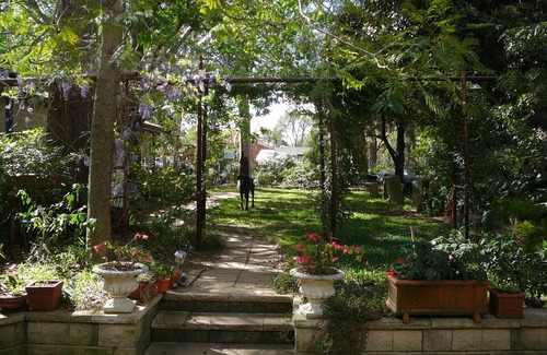 Kirrawee Apartment | Sekitei Boutique Accommodation is a genuine dog friendly Oasis