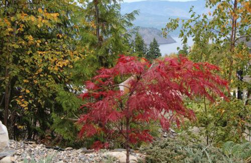 Blind Bay Bed & Breakfast | Selah Retreat Guesthouse B&B