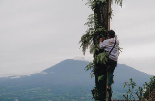 Cigombong Resort | Selayang Enau, Brown Sugar Resort with The Sweetest Story