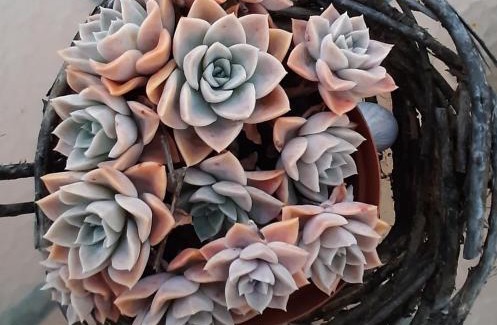 Nigel House | Seldre Guest House