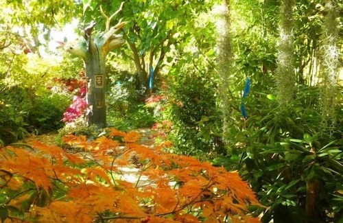 San Miguel del Robledo Cottage | Self catering Jardines del Robledo for 2 people