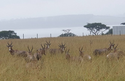 Albert Falls House | Self-catering accommodation on a private farm overlooking the Albert Falls Dam.