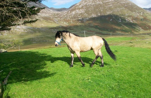 Recess Cottage | SELF CATERING COTTAGE IN PICTURESQUE INAGH VALLEY, Recess, CONNEMARA, With Wi-Fi