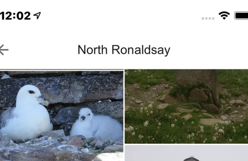 North Ronaldsay House | Self catering croft On the beach