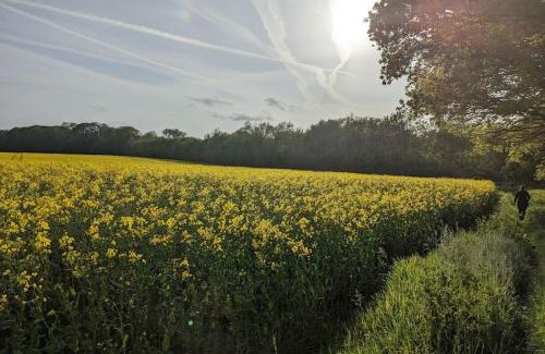 Aldborough Apartment | Self-catering guest annex