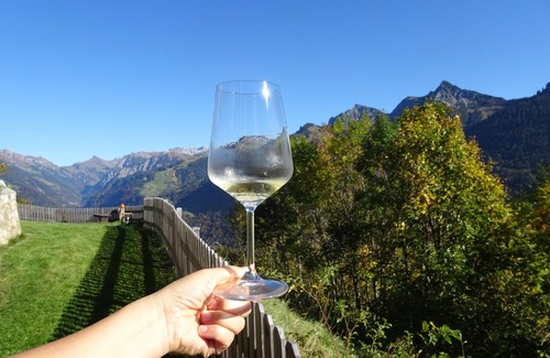 Blons House | self-catering holiday house (about 130m²), ideal for 2-3 families