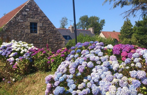 Penvenan Cottage | Self catering LES HORTENSIAS 1