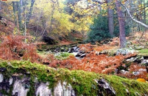 Rascafria Cottage | Self catering Valle de El Paular for 4 people