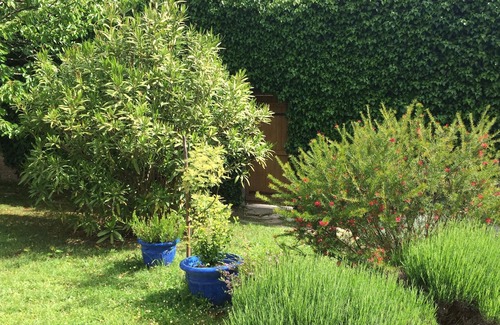 Saujon Apartment | Self-contained apartment in beautiful Charentaise town