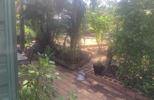Leanyer Cabin | Self contained Cabin 5 metres from pool on 5 acres of tropical and native garden