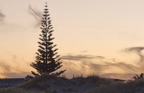 Waipara Cabin | Self contained tiny home, a short walk to the river, with great walks