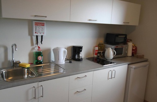 Kalfafell House | Selfell Guesthouse - Apartment 2