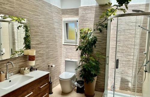 Selinia Villa | Selini apartment