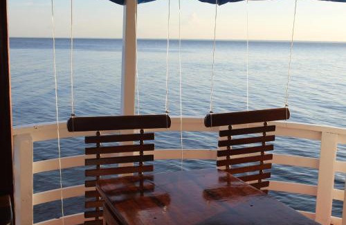 Alter do Chao Boat Rental | Selvagem Tours