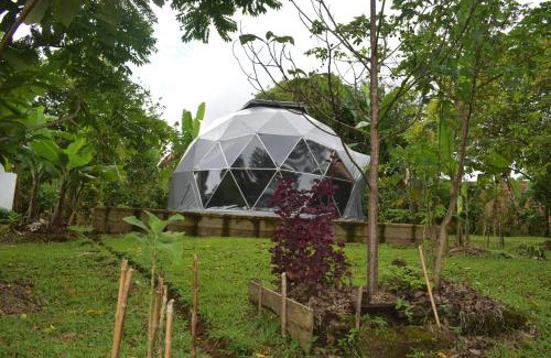 Mocoa House | selvamorena