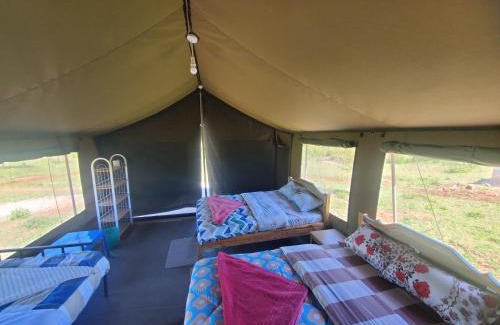 Maasai Mara Bed & Breakfast | SEMADEP SAFARI CAMP