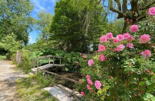 Saint-Sauveur-le-Vicomte House | Semi-detached house, St Sauveur-le-Vicomte