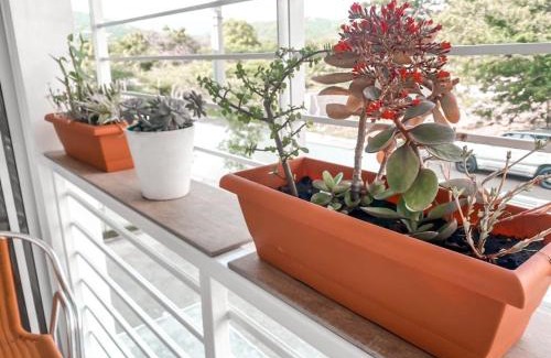 Santiago de los Caballeros Apartment | Sendero del Botánico