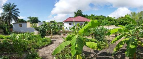Mandinari Cabin | Senegambia Birding Lodge - Full board - Bird Photohide