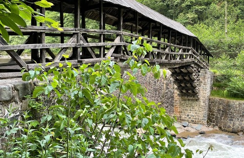 Cayeli House | Senoz Mountain House - Bungalow