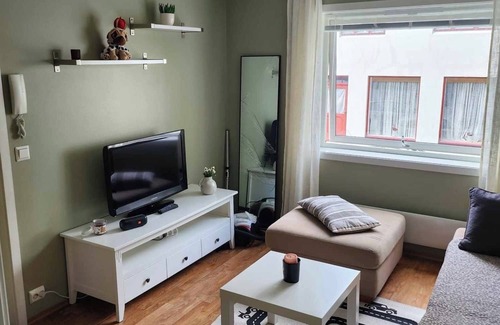 Alesund Apartment | Sentralt Leilighet