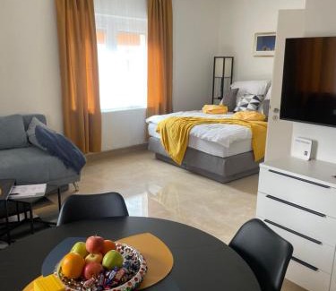Lend Apartment | SEOS Self Check in ,Gratis parken,Apartment mit Schlaf Zimmer und StudioApartmet