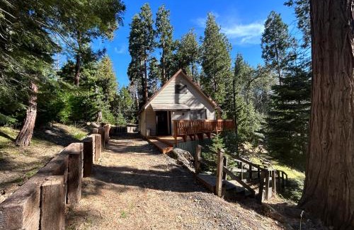 Posey House | Sequoia National Forest Cabin-ATV Ride