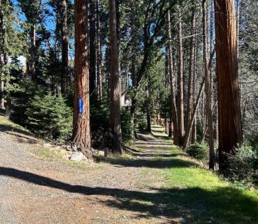 Posey House | Sequoia National Forest Cabin-ATV Ride