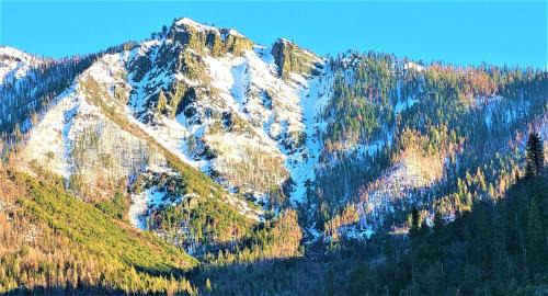 Camp Nelson House | Sequoia Trails, mountains, fun & relax
