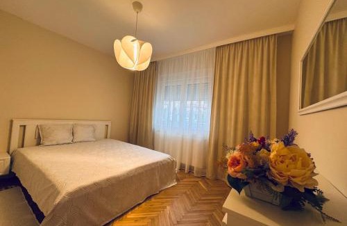 Satu Mare Apartment | Serafina central Apartment