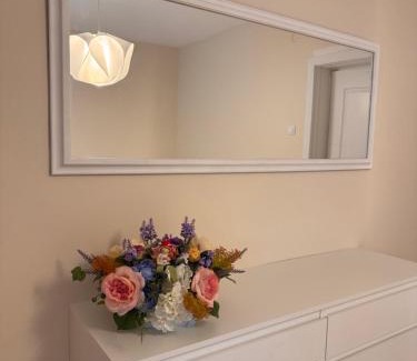 Satu Mare Apartment | Serafina central Apartment
