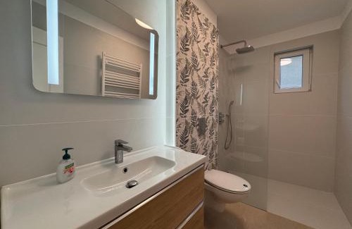 Satu Mare Apartment | Serafina central Apartment