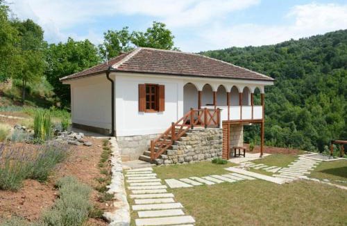 Stara Planina Apartment | Serbina