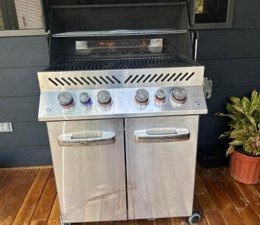 Cocle Ski Chalet | Serena Lodge & Camping - El Cope