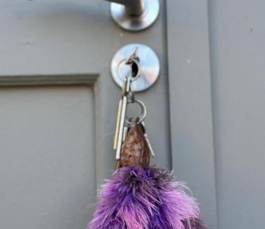Prince Albert Apartment | Serendipity Guest Cottage