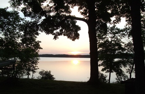 Parkers Prairie Cabin | Serene And Quiet Setting That Is Family Friendly.