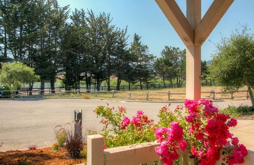 Point Reyes Station House | Serene Bungalow-Style Home in Point Reyes Station!