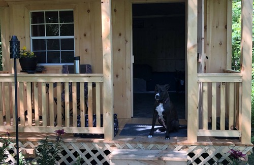 Ogdensburg Cabin | Serene Cabin "Camping" (&services)