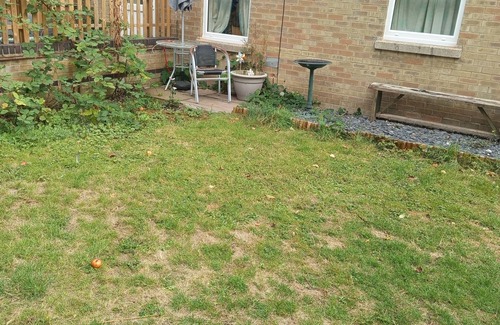 Cherry Hinton Apartment | Serene Calm flat in a beautiful part of Cambridge UK. 1 dble Room 1 other guest.