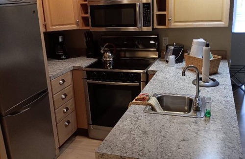 Rockland Condo | Serene condo with AC in charming Rockland on the bay !