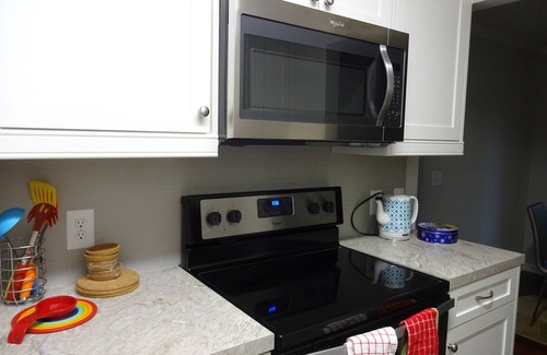 Helen Condo | Serene Luxury Condo! Low rent! High Speed WiFi! 2King Beds! Walk to Downtown!