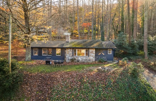 Gerton House | Serene Mountain Cabin with Hot Tub near Asheville
